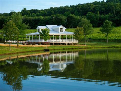 Frogtown winery - Frogtown Winery in Dahlonega, GA, is a well-established Italian restaurant that boasts an average rating of 3.7 stars. Learn more about other diner's experiences at Frogtown Winery. Make sure to visit Frogtown Winery, where they will be open from 12:00 PM to 5:00 PM.